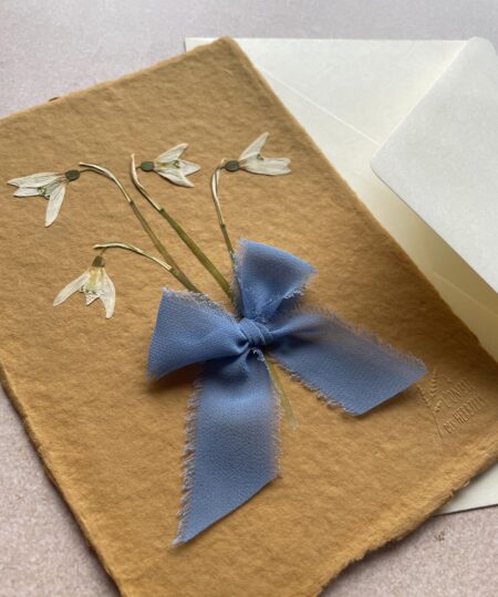 Carte Herbier - Perce-Neige