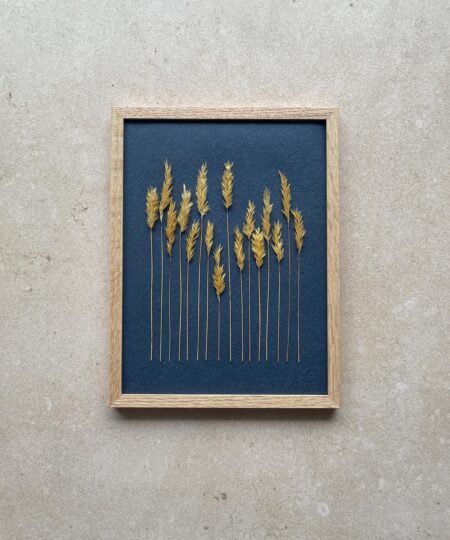 Herbier Graminée - Bleu Nuit