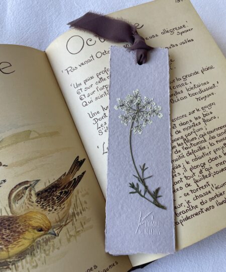 Marque-Page - Carotte Sauvage