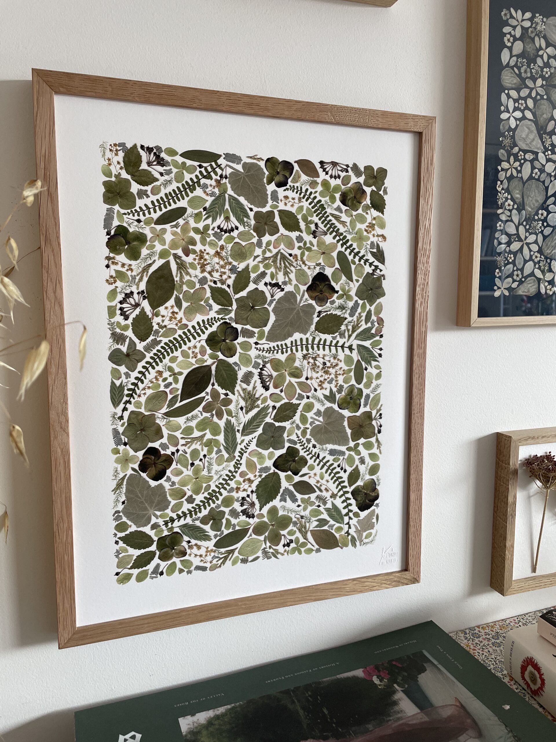 Affiche Herbier - Monochrome en Vert