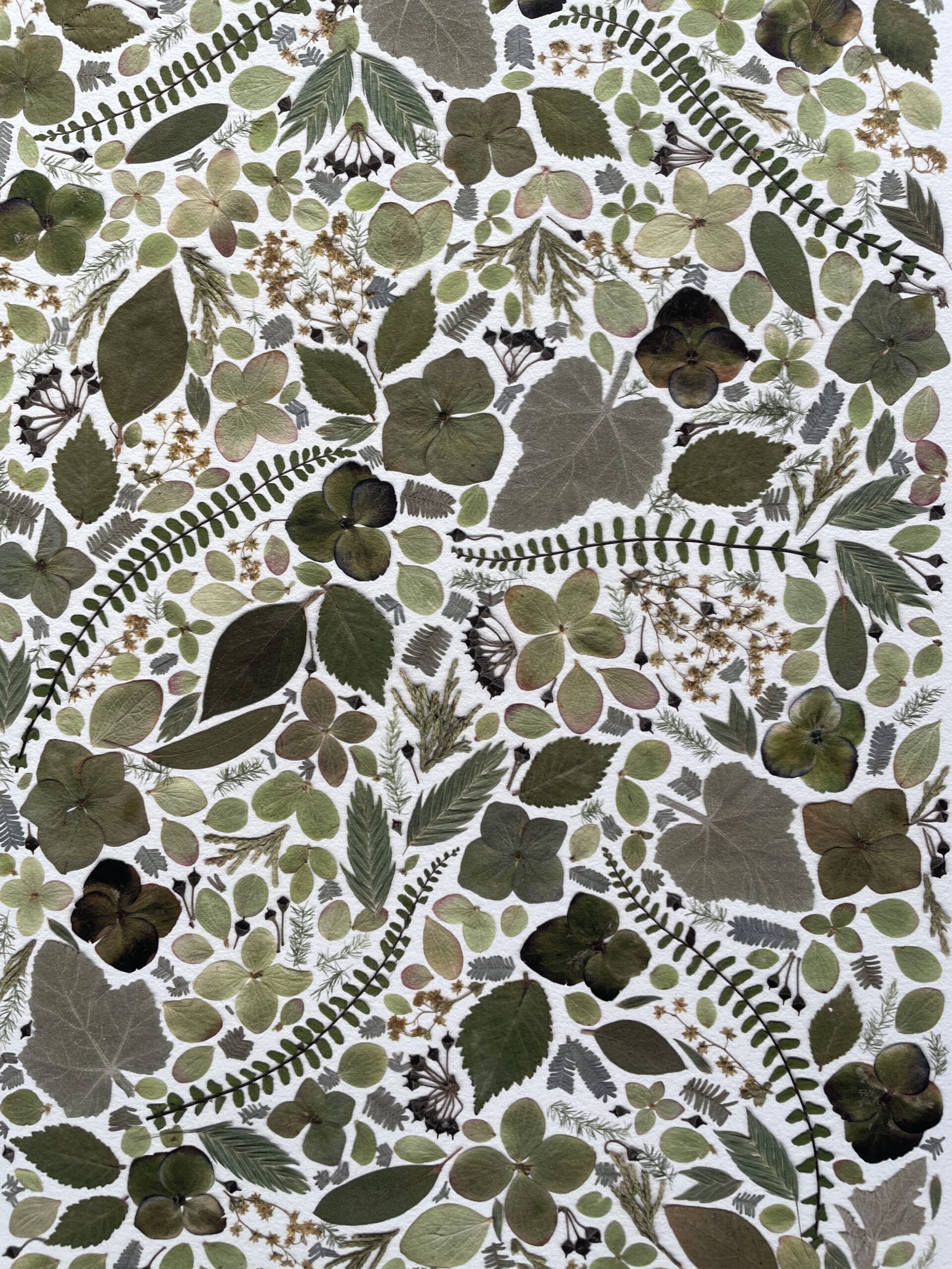 Affiche Herbier - Monochrome en Vert – Image 2
