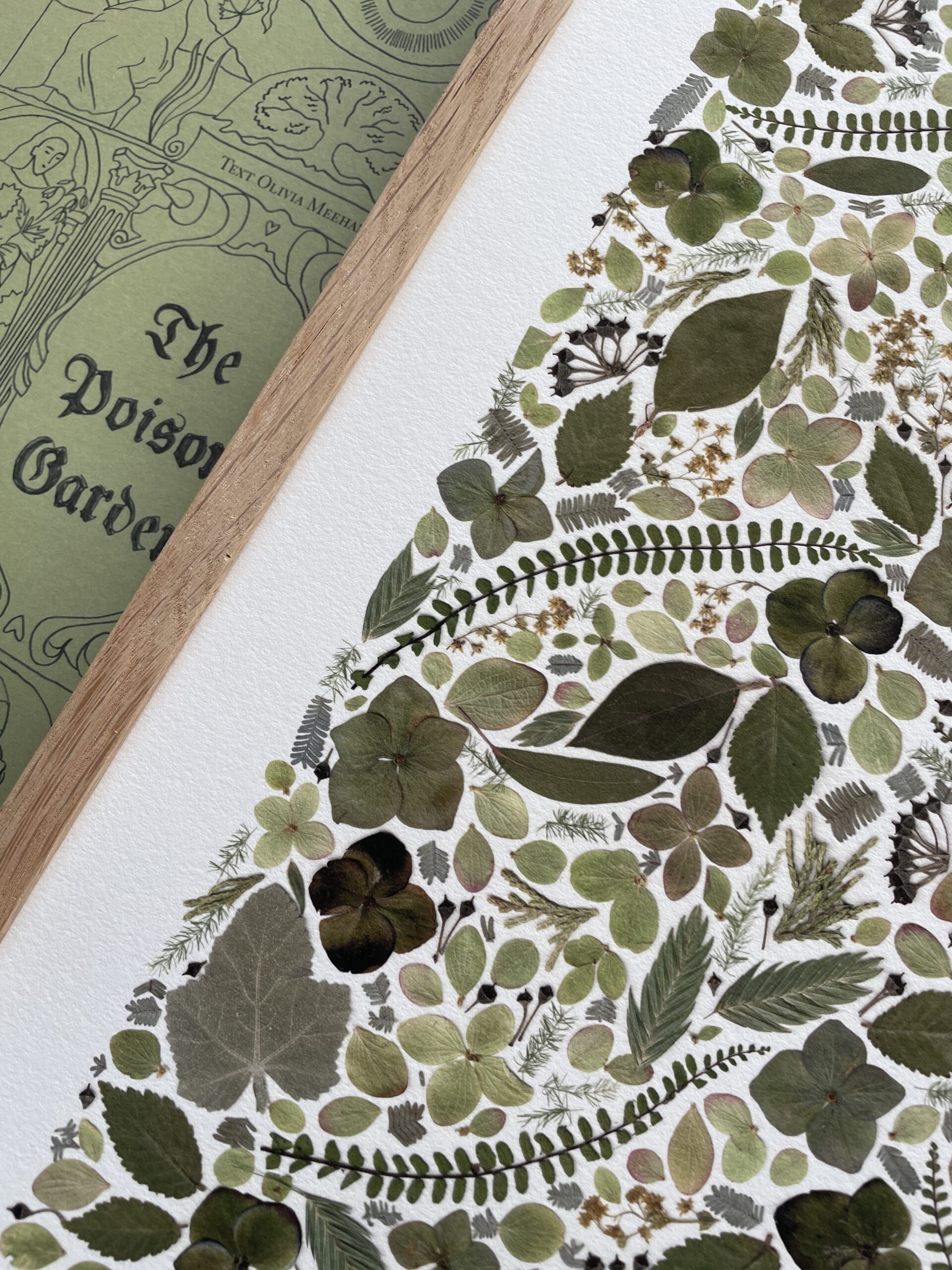 Affiche Herbier - Monochrome en Vert – Image 5